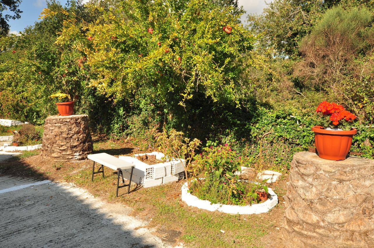 Laskaris Studios Dassia (Corfu) Exterior foto